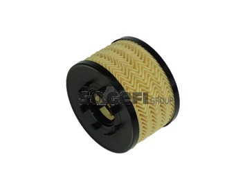 2c63f50e-baa9-11e6-aa0d-0cc47a3200a7 CH 9023ECO Фильтр масляный FRAM на FORD, Mo III